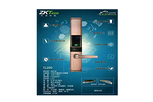 防盗门锁-TL200
